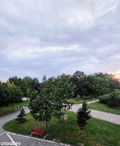 3 pokoje | 65 m² | idealne dla rodziny | os. Orła Białego, Poznań