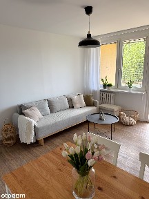 Mieszkanie, 50 m², Bielsko-Biała