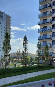 Wynajmę mieszkanie Nowa Letnica