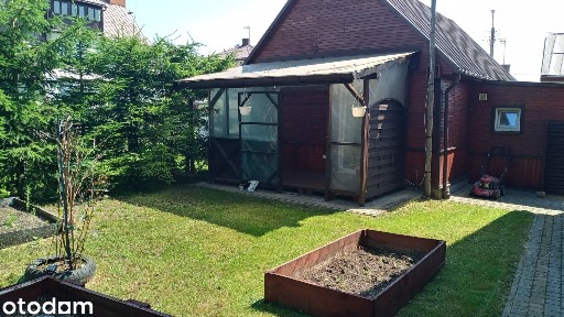 AKTUALNE Mieszkanie do wynajęcia