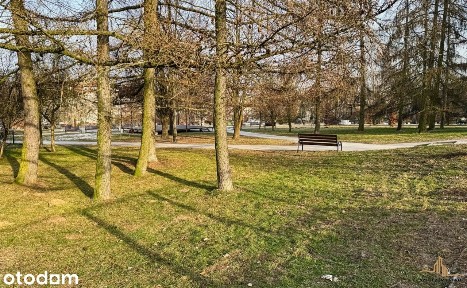 3 Pokojowe Mieszkanie Do Odświeżenia!