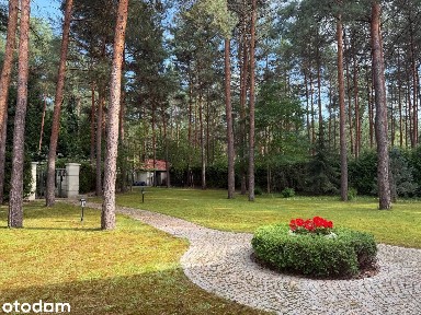 Rezydencja w Sercu Lasu tylko 25 minut od Centrum Warszawy.
