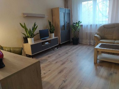 2-pokojowe mieszkanie do wynajęcia | 48m2 centrum, stare miasto, szczepin