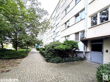 ul. Marcellego Bacciarellego, Bartoszowice, Śródmieście, Wrocław, dolnośląskie