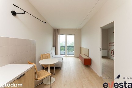2 pokoje/Balkon/Centrum/Do wprowadzenia