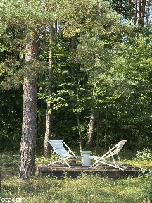 Nowoczesny domek rekreacyjny z balią i prywatnym lasem Bory Tucholskie