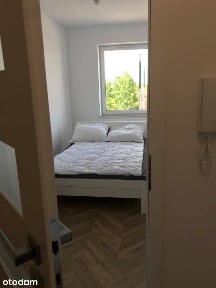 Apartament w centrum ul. Jana Kochanowskiego