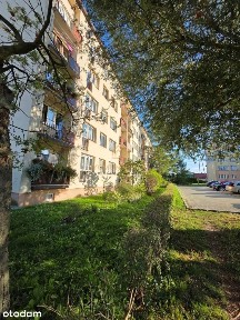 Końskie| 2 pokoje | 3 piętro |do remontu | 237 tys
