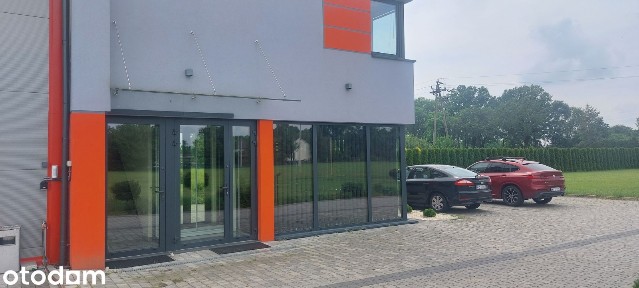 wynajmę powierzchnię biurową 100m2