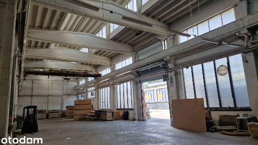 Hala magazyn 6000 m2 ogrzewany. Oraz inne pow. od 15 do 6000 m2