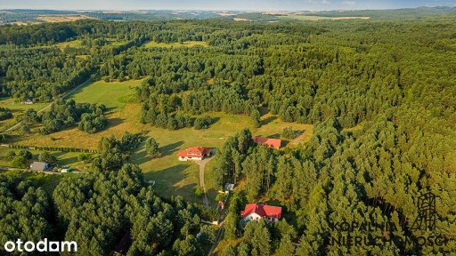 Wyjątkowa Nieruchomość | 1,66 ha w Sercu Jury