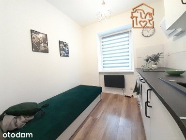 Jasne studio przyjazne dla zwierząt - Świdra 15
