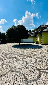 Wolnostojący dom z basenem i garażem