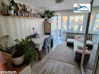 Mieszkanie 48m2, 3 pokoje z balkonem,ul. Narutowicza