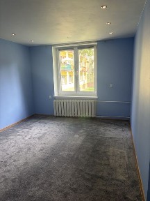 Ustawne 35 m2 z cegly na parterze - potencjal na dwa pokoje