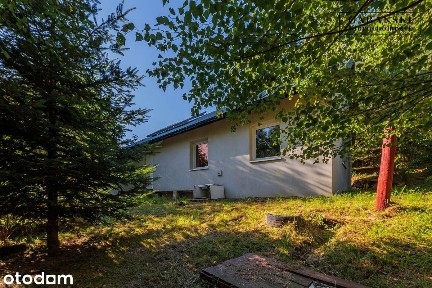 DREWNIANY DOM PO GRUNTOWNYM REMONCIE NA 1,35 HA - STASZKÓWKA