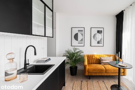 Mieszkanie na Jeżycach -apartament
