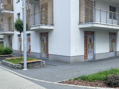 Bezpośrednio wynajmę nowoczesny 119m² narożny lokal duże witryny z 3 stron 3 wejścia ogródek 2 miejsca parkingowe