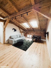 Designer Loft Poddasze Klima | Centrum | WSG | UMK | UKW