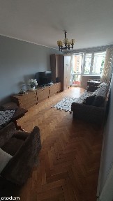 Mieszkanie na wynajem 46m