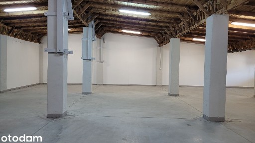 Hala magazynowo-produkcyjne 160m2 lub 303m2 bezpośrednio