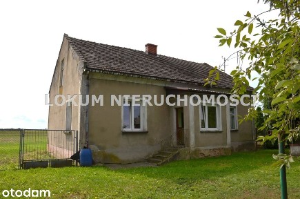 Dom Z Działką 40 Arów Na Przedmieściach Szczucina