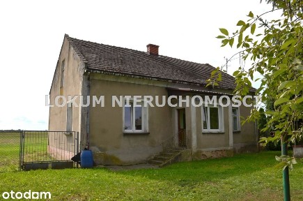 Dom Z Działką 40 Arów Na Przedmieściach Szczucina