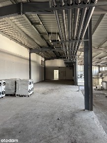 Paprotna 16, Różanka, Psie Pole, Wrocław, dolnośląskie