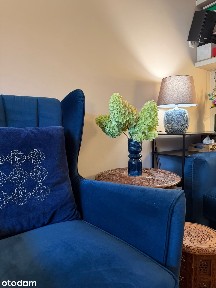 2 pokoje | 37m2 | 25 czerwca | Do wprowadzenia |Klimatyzacja |1 piętro