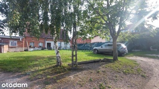 Czyżykowska, Tczew, tczewski, pomorskie