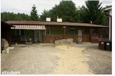 Lokal użytkowy, 2 745 m², Lubiatów