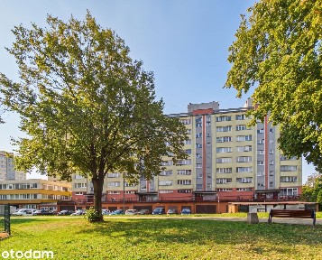 ul. Darwina, Osiedle Dorota, Tychy, śląskie