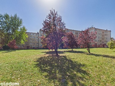ul. Podmiejska, Chorzów Batory, Chorzów, śląskie