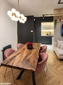 Bytkowska Park│apartament do wejścia przy Parku Śląskim│Taras 40m²