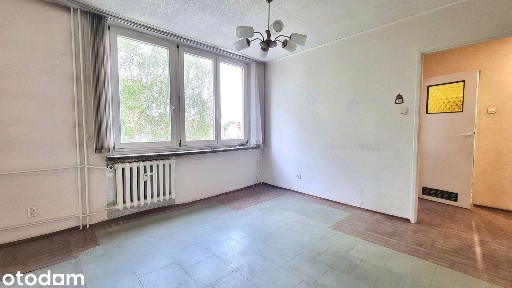 3 pokojowe mieszkanie w świetnej lokalizacji blisko Parku Śląskiego