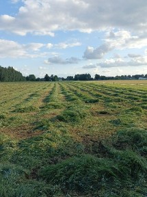 Dom 94m2 działka 0.7 ha ##REZERWACJA do 15.09##