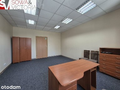 Świebodzice, świdnicki, dolnośląskie