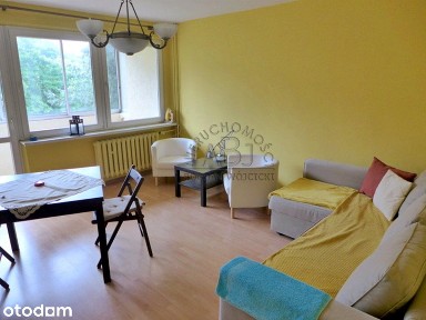 Kurdwanów, 2-pok. 49 m2, oddzielna kuchnia, wyposażone