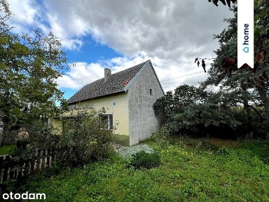 Dom do remontu | działka ponad 1,5 ha | Wapno