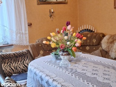 3 pokoje/ okolice Batorego/ ogródek