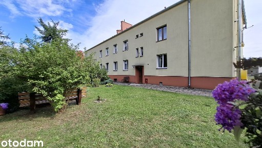 3 pokoje, 61,3 m², parter, 2 piwnice 29,8 m² - Skwierzyna