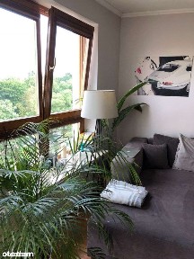 Wynajmę mieszkanie 51m, bezpośrednio, mokotów