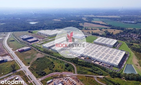 Magazyn 5935 m2 w Zabrzu - 0% prowizji