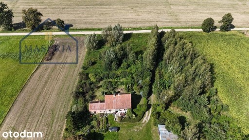 Siedlisko w miejscowości Górki, gm.Stary Dzierzgoń