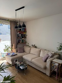 Klimatyczne 42m² na Nowych Żernikach - idealne dla kociar i psiarzy
