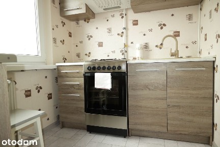 Winogrady, duża kawalerka z balkonem 1500 zł plus czynsz i energia