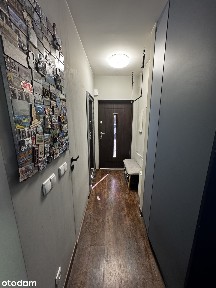 Dom przy lesie z dużą działką 203m² - 113 m² przestrzeni, ogród 148 m²