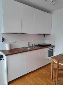 Mieszkanie dwupokojowe na Winogradach, widok na ogrod