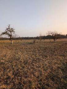 Siedlisko z działką 15 arów