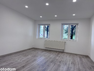 Katowice | ul. 1 Maja | 2 pokoje | 81 m² | Po remoncie | Blisko UE